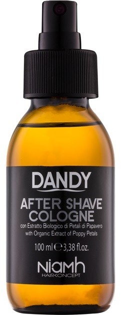 DANDY After Shave borotválkozás utáni arcvíz  100 ml