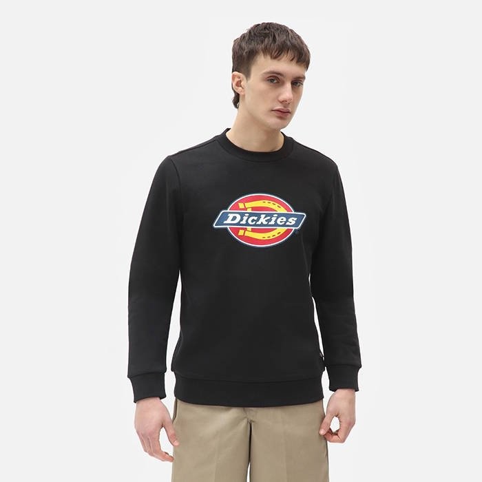 Dickies Logo Sweatshirt DK0A4XCIBLK