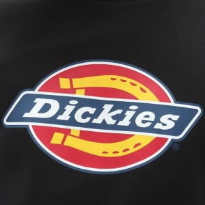 Dickies Logo Sweatshirt DK0A4XCIBLK galéria