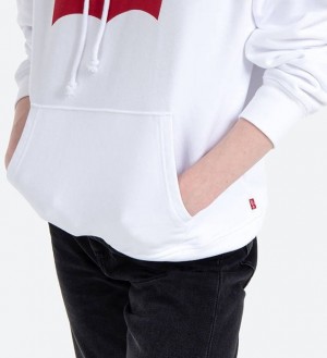 Levi's® Graphic Standard Hoodie 18487-0024 galéria