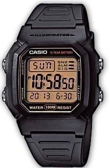 Casio Classic