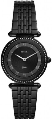 Fossil Lyric galéria