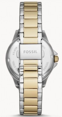 Fossil Sadiemultifunction galéria