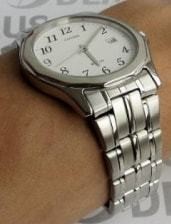 Citizen Basic galéria