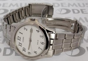 Citizen Basic galéria