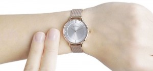 Skagen Anita galéria