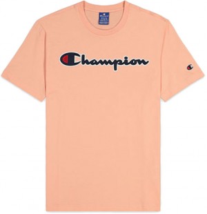 Champion Script Logo T-Shirt galéria